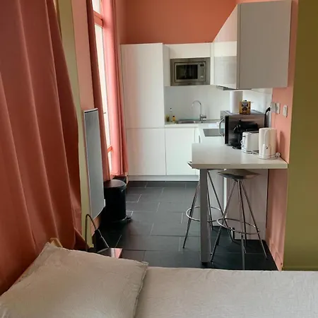 Appartement Hypercentre Proche Gares Et Métro Lille